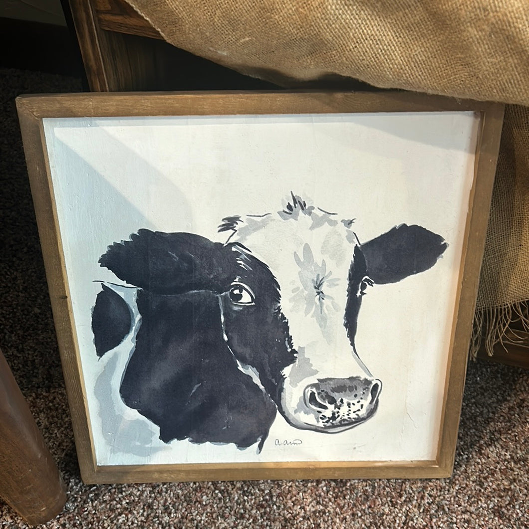 Cow picture