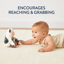 Load image into Gallery viewer, Carmen The Cow - Itzy Bitzy Mirror™ Travel + Tummy Time Toy(Crews)