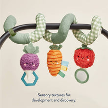 Load image into Gallery viewer, Veggie Itzy Bitzy Spiral (Crews)