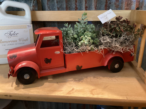 Succulent truck- Scheller