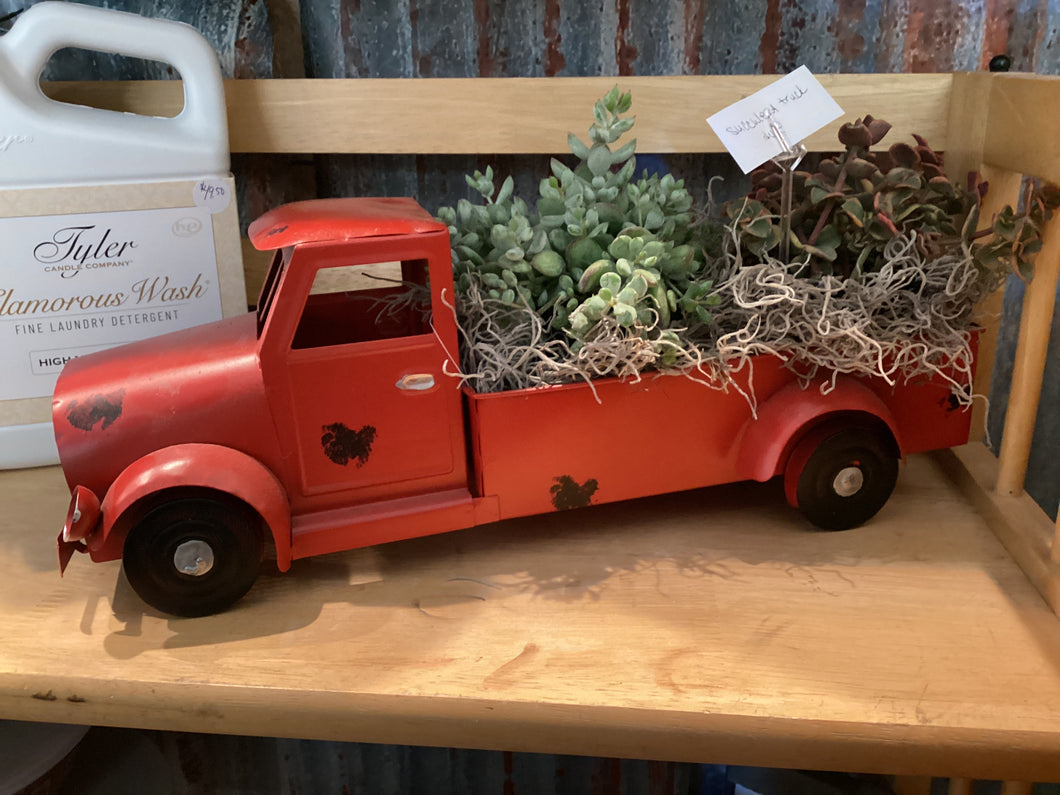Succulent truck- Scheller