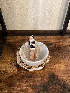 Cow TidBit