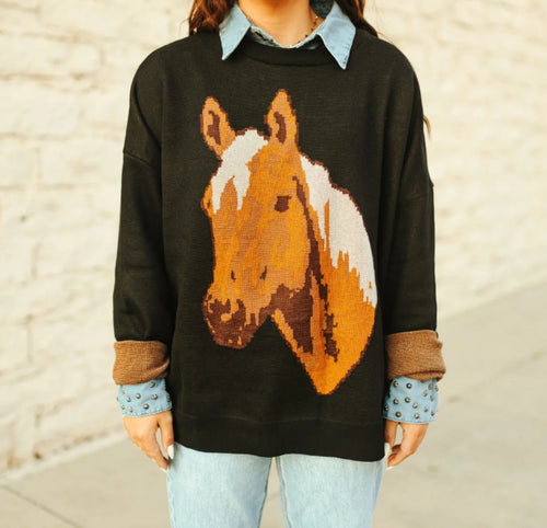Horse sweater