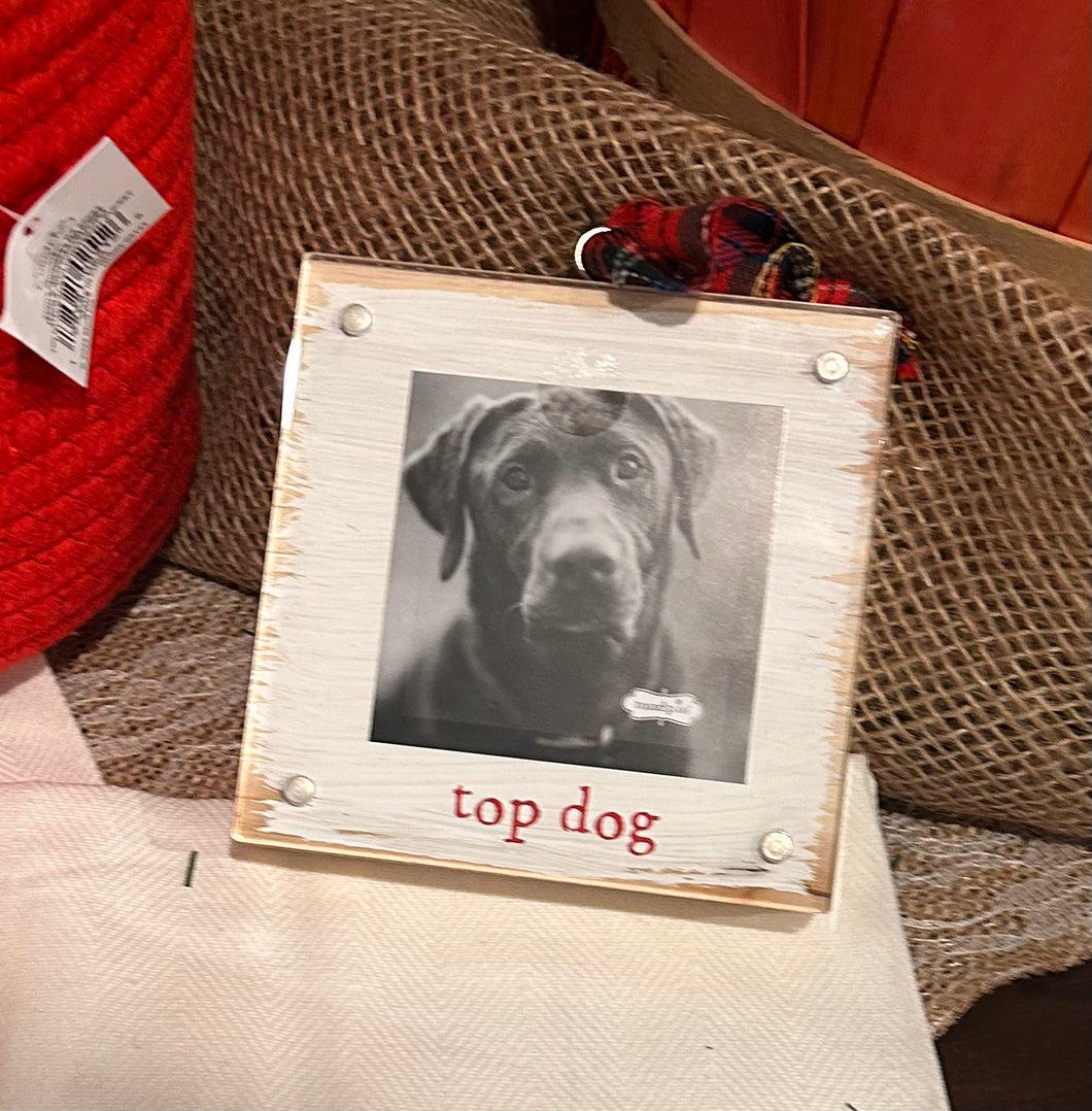 Top dog photo ornament